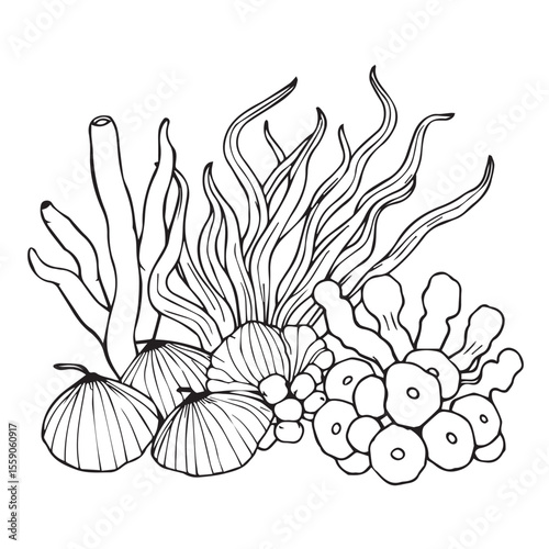 Stylized black and white line drawing of a vibrant coral reef scene with various sea plants and shells on a white background