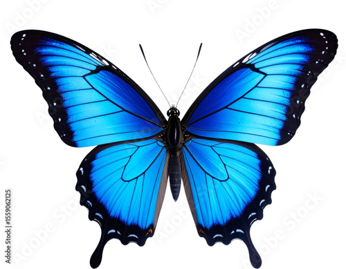Beautiful blue butterfly in full body close-up portrait, flying with grace. Generativ  