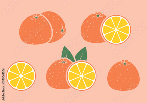 Orange logo. Isolated orange on white background