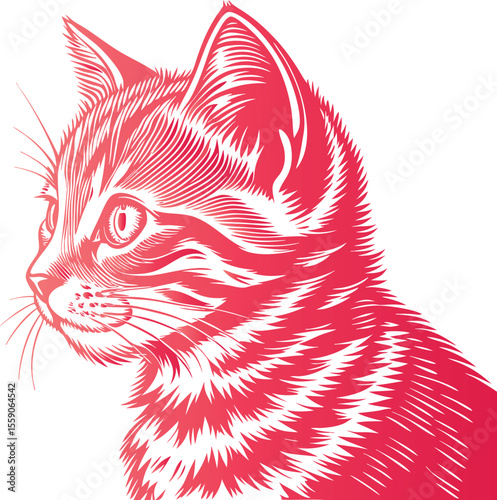 Red kitten portrait with detailed fur and whiskers animal pink