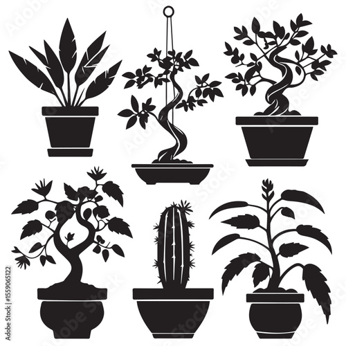 Collection of six black silhouette potted plants including bonsai and cactus