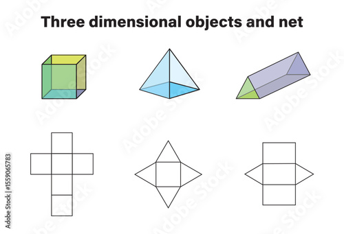 Color Three dimensional objects and net, Math education Illustrator