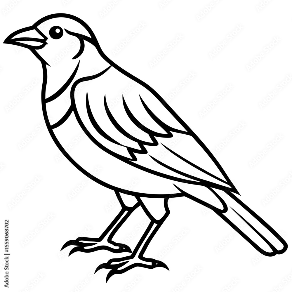 Fototapeta premium Simple Weaver Bird Monoline Artwork