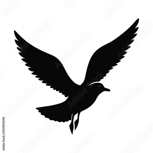Silhouette seagull soaring with wings fully outstretched