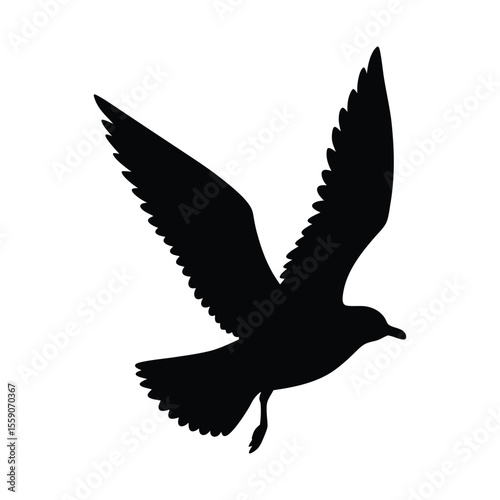 Silhouette seagull soaring with wings fully outstretched