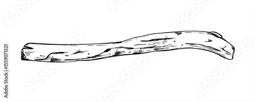 Dried cleaned old wooden stick or branch monochrome vector illustration painted by black inks. Decorative element graphic sketch for rustic decor, eco friendly packaging, and nature designs.