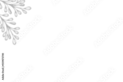 Delicate, light gray floral design in a corner of a white background shadow 