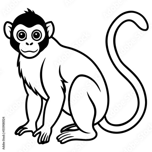 Spider Monkey Outline Design