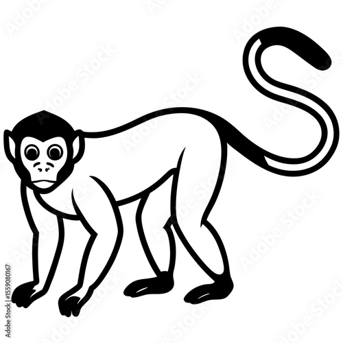 Spider Monkey Outline Design