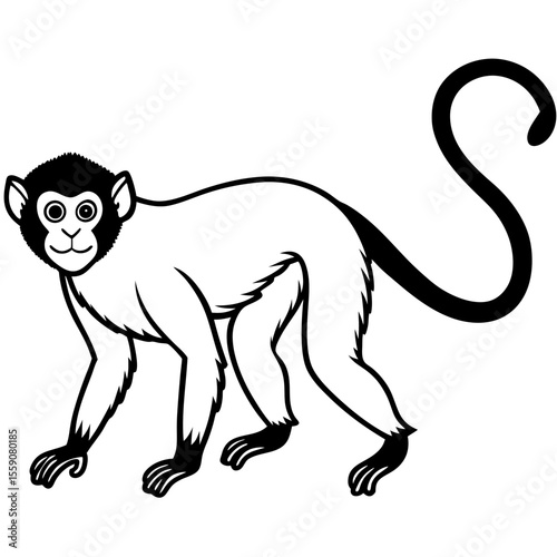 Spider Monkey Outline Design