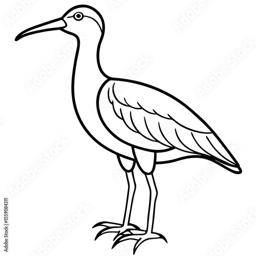 Whimbrel Bird Contour Art in Vector Style