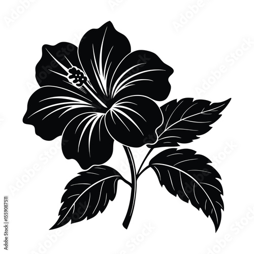 Stunning Black Hibiscus Flower Silhouette Graphic Design
