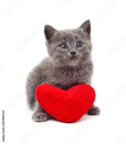 Kitten with toy heart.