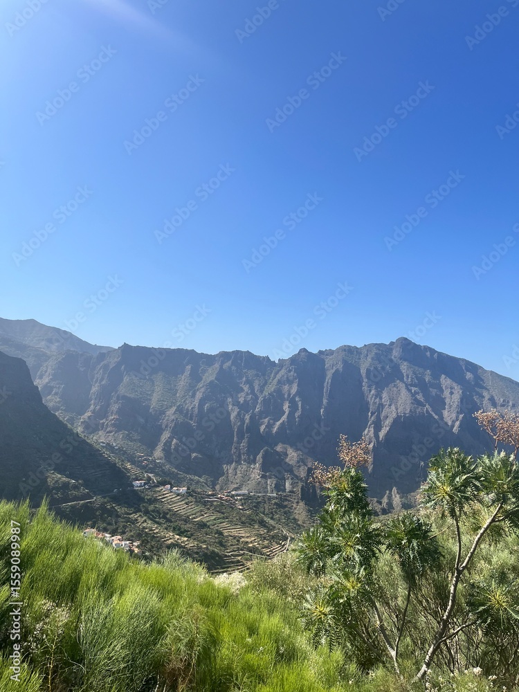 Naklejka premium Nature holiday pictures in Masca Valley, Tenerife, Spain (Canary Islands)