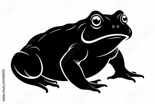 american toad sihouette black vector
