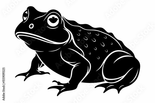 american toad sihouette black vector