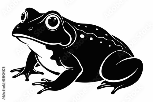 american toad sihouette black vector
