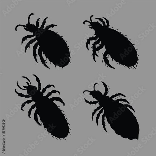 louse silhouette vector set.