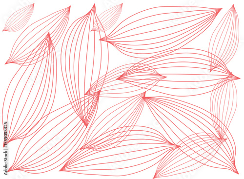 Abstract Floral Vector Illustration with Delicate Petal Outlines on a White Background Design