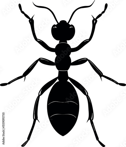 Black Ant Silhouette Top View Insect Symbol