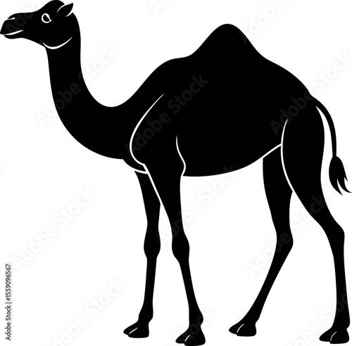 Silhouette of a Camel