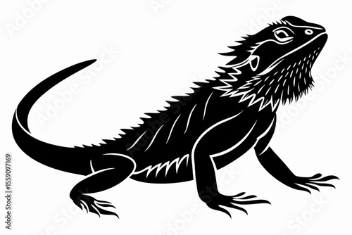bearded dragon sihouette black vector