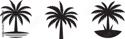 palm tree silhouette