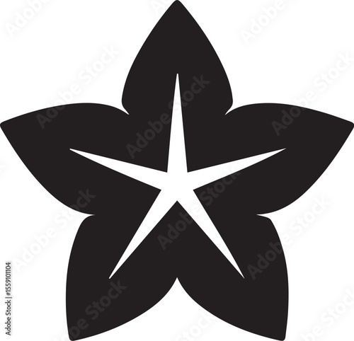 black star on white background Silhouette