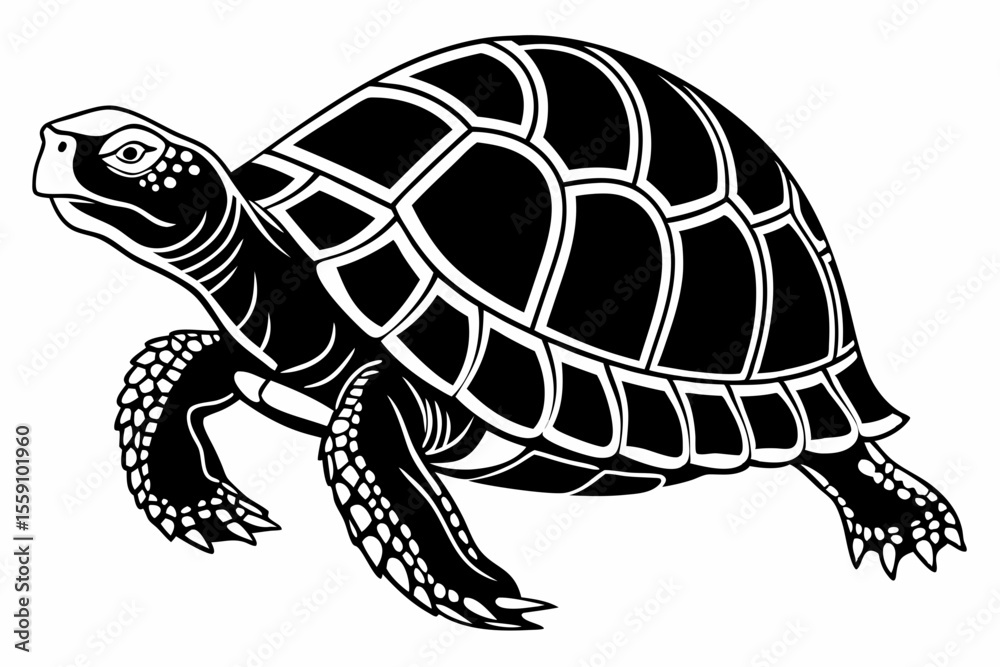 Fototapeta premium box turtle sihouette black vector