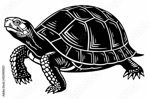 box turtle sihouette black vector
