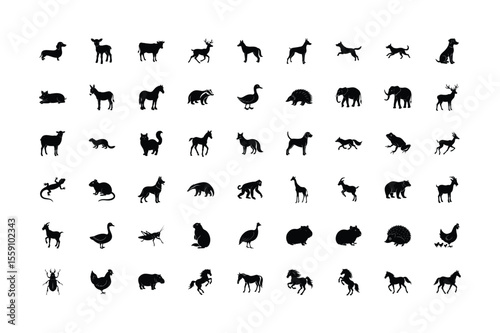 Diverse Animal Silhouettes Collection A Compendium of Wildlife Domestics and More in Striking Black and White Imagery