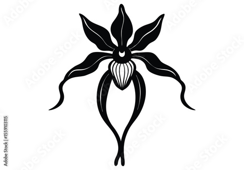 ghost orchid 	silhouette flower on white background