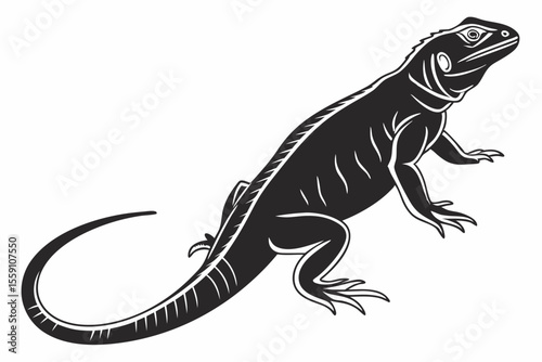 Chuckwallas sihouette black vector