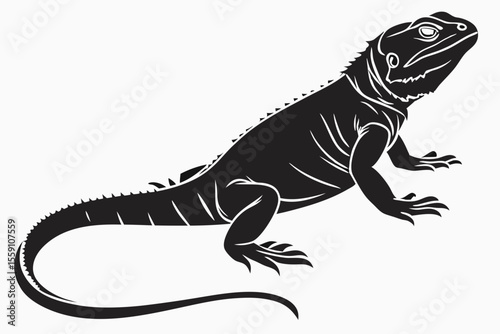 Chuckwallas sihouette black vector
