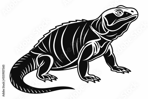 Chuckwallas sihouette black vector