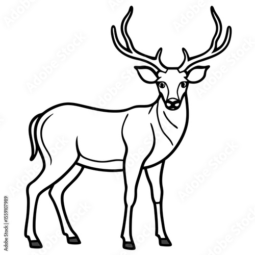 Wildlife Duo Wapiti and Vole Vector Sketch