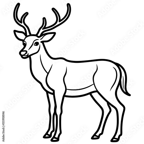 Wildlife Duo Wapiti and Vole Vector Sketch