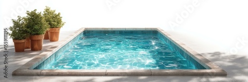 Empty Swimming Pool with Plants in Pots