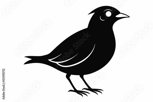 lark bird sihouette black vector
