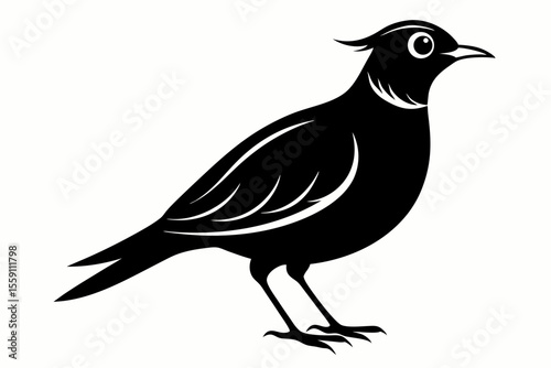lark bird sihouette black vector