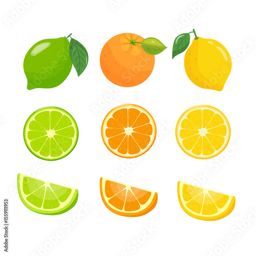 juicy natural set of citrus fruits lime, orange, lemon. illustration of whole and cross-section of citrus fruits. hand drawn.
