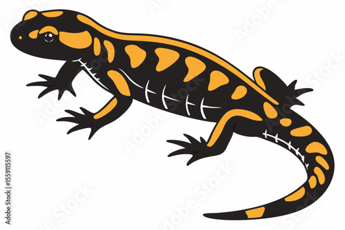 fire salamander sihouette black vector