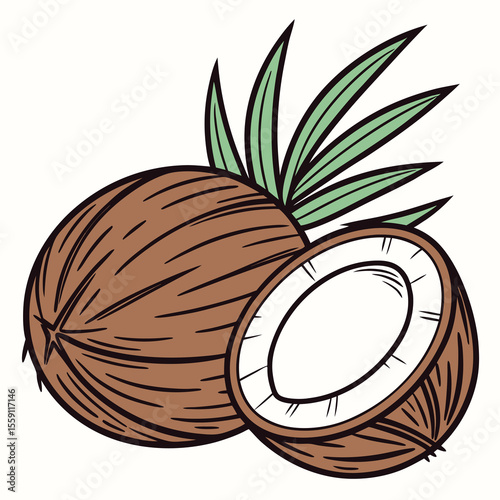 Whole Coconut and Half Coconut with Green Leaves Tropical Fruit Healthy Food