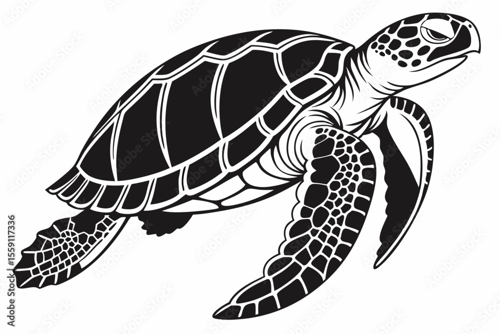 Fototapeta premium gal pagos tortoise sihouette black vector