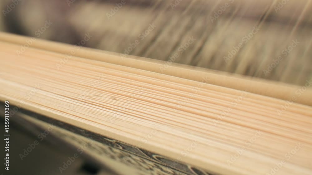 Banknotes and bag counter, Specialised police officer Counting dollar euro banknotes in crime lab with machine, cashed out criminal money, bitcoin changing, buying home flat in bank. 