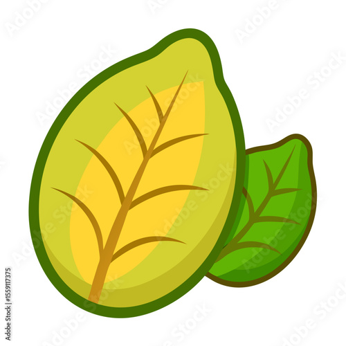 potato leaf icon