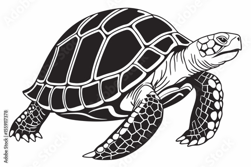 gal pagos tortoise sihouette black vector