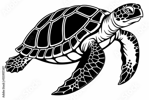 gal pagos tortoise sihouette black vector