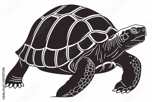 gal pagos tortoise sihouette black vector
