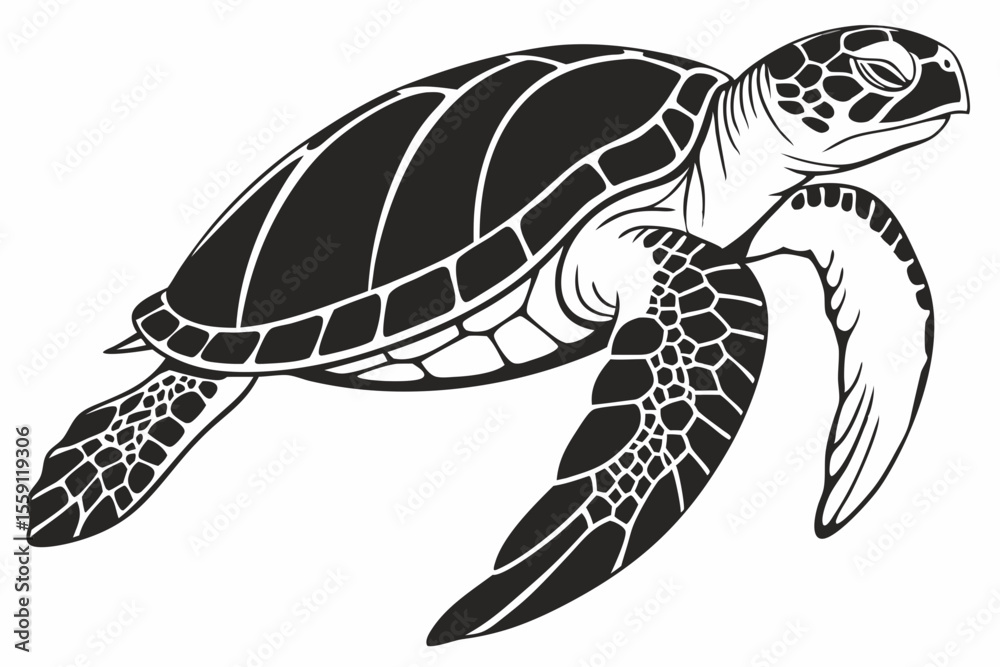 Obraz premium green sea turtle sihouette black vector